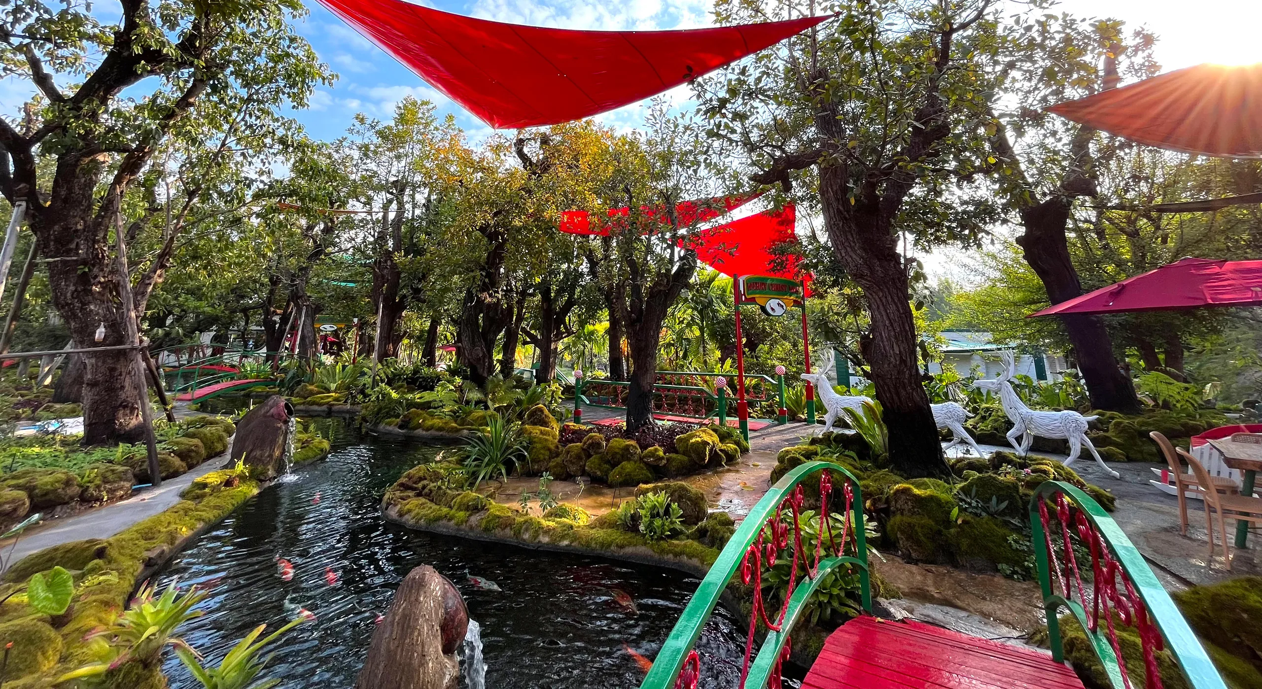 สวนของ Carp Cafe Canyon มีผ้าใบกันแดดสีแดงขึงเหนือต้นไม้ใหญ่ ลำธารปลาคาร์ปที่มีน้ำตกเล็ก ๆ ก้อนหินคลุมมอสส์ สะพานโค้งสีเขียวแดง และรูปปั้นกวางสีขาว